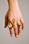 Anillo Orus